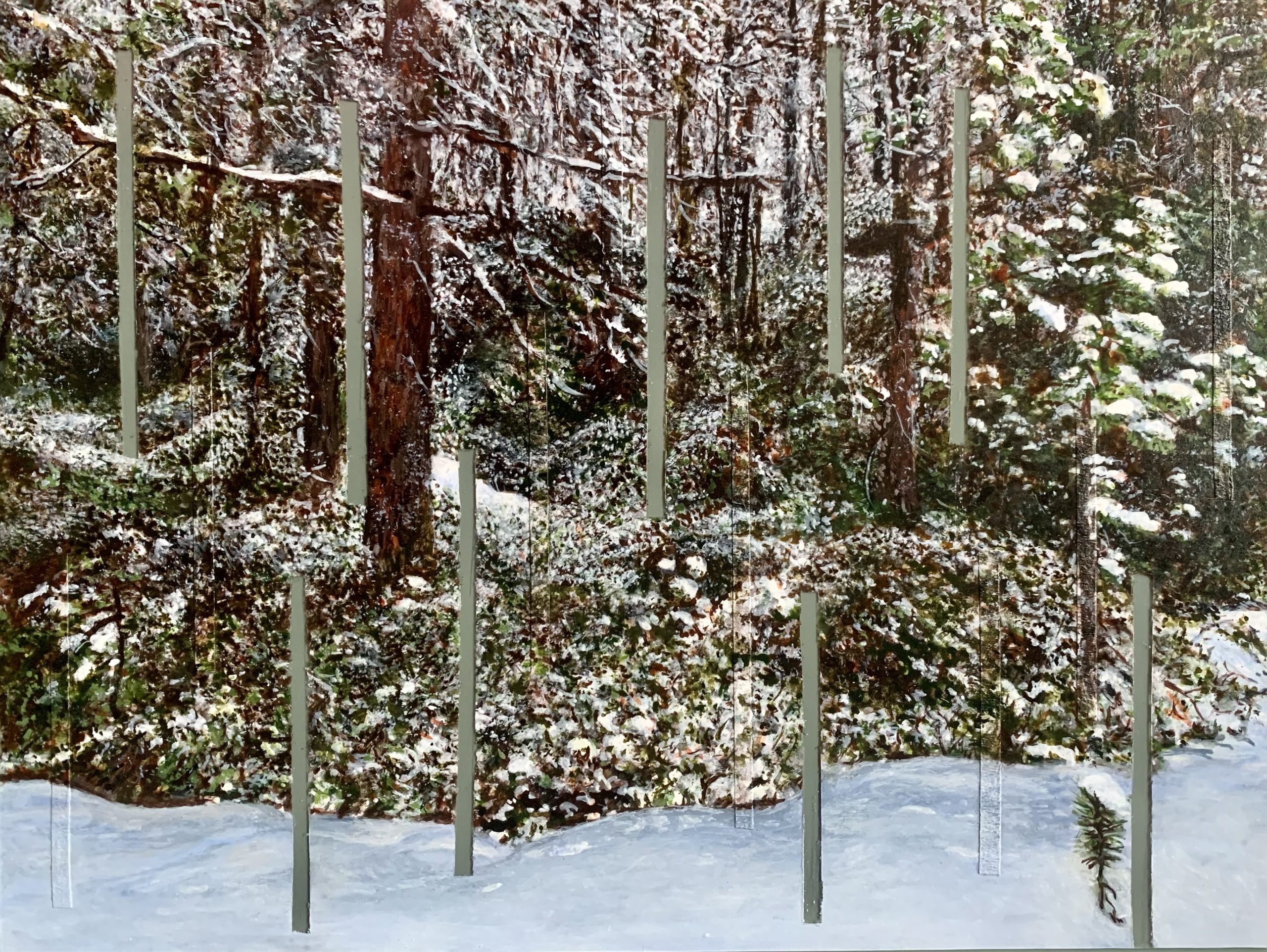 The snowy forest in lapland