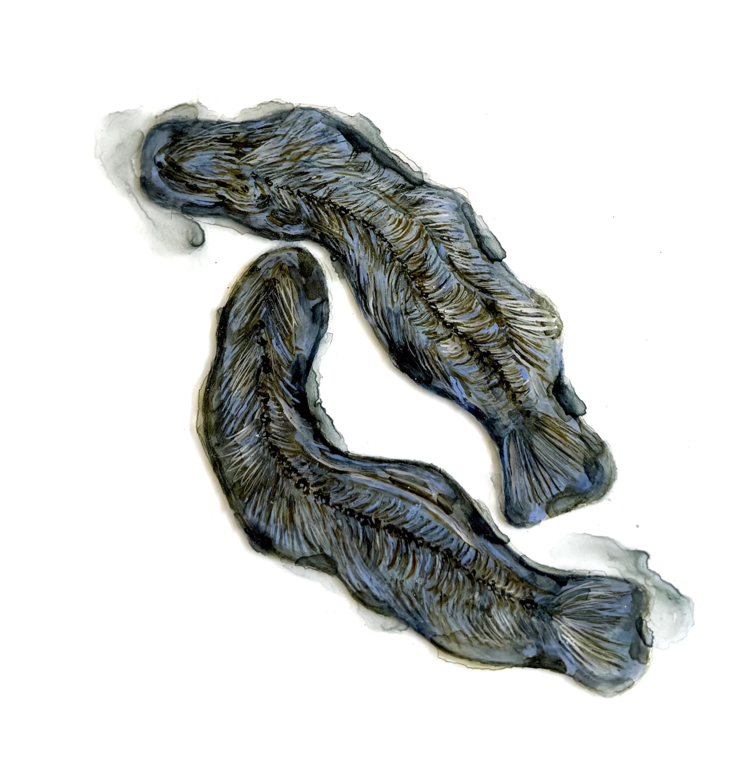 Material Afterlife No. 3