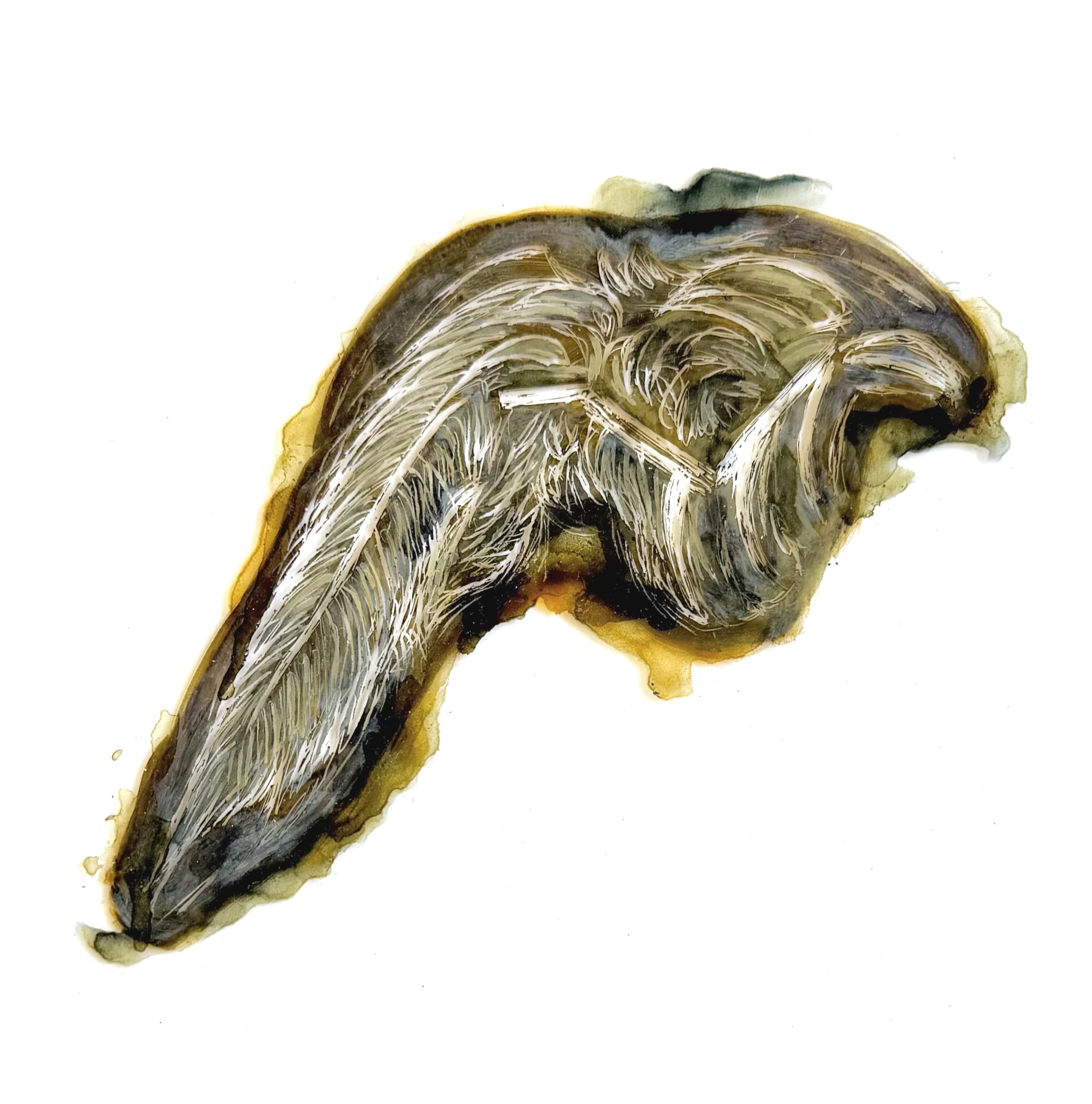 Material Afterlife No. 5